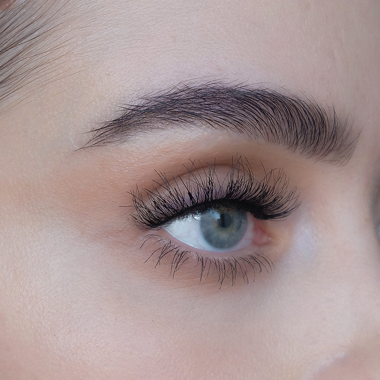 Sweed Beauty Lashes ASH 3D