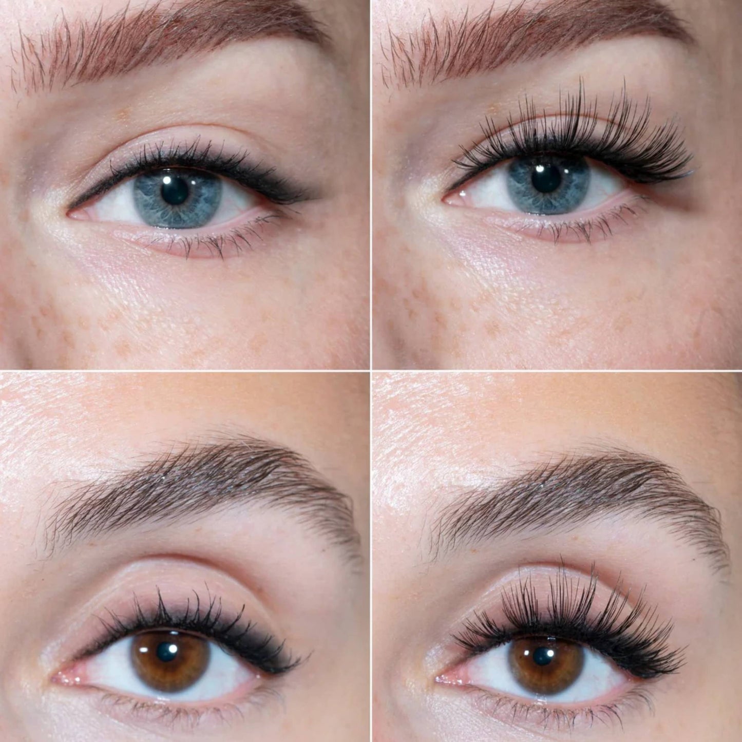 LH Cosmetic The Lash Hero