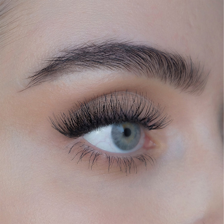 Sweed Beauty Lashes Cluster flair