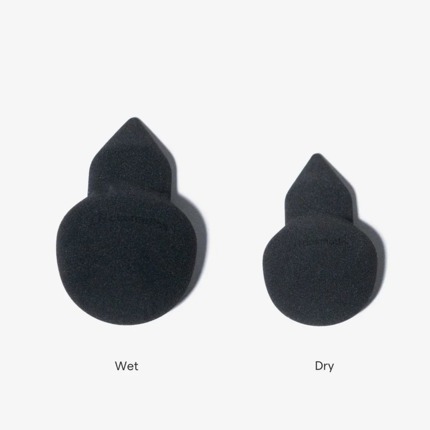 LH Cosmetic The sponge